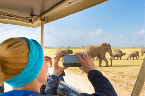 The Best eSIM for Kenya and Tanzania: Stay Online on Your African Safari